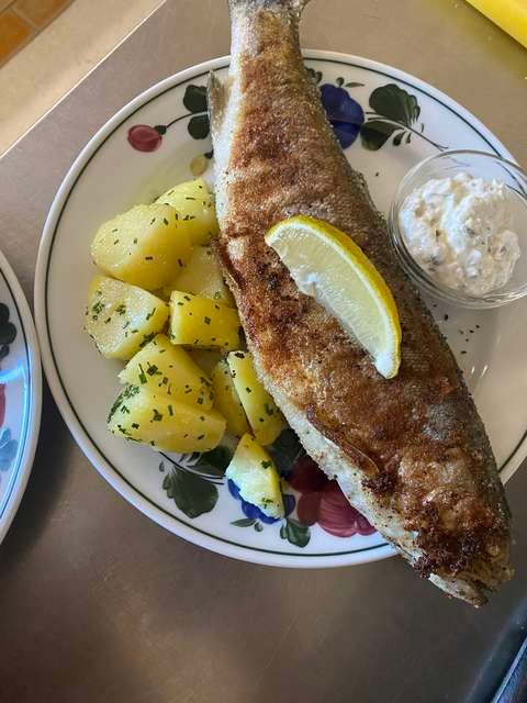 Gebratene Forelle mit Petersilkartoffeln