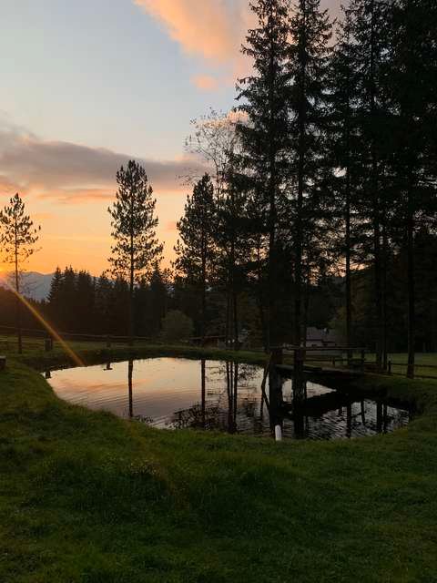 Der Teich bei der Fischerhütte im Abendlicht