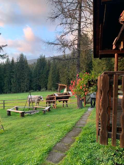 Sitzplatz bei der Fischerhütte im Abendlicht