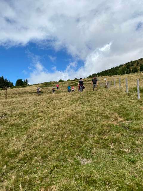 Wanderer auf einer Almwiese