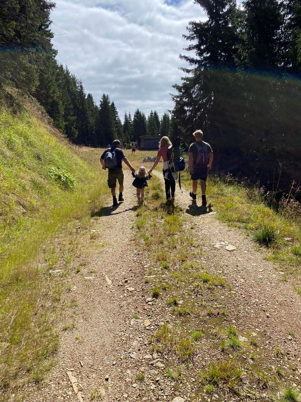 Wanderer auf einem Weg durch die Almwiesen